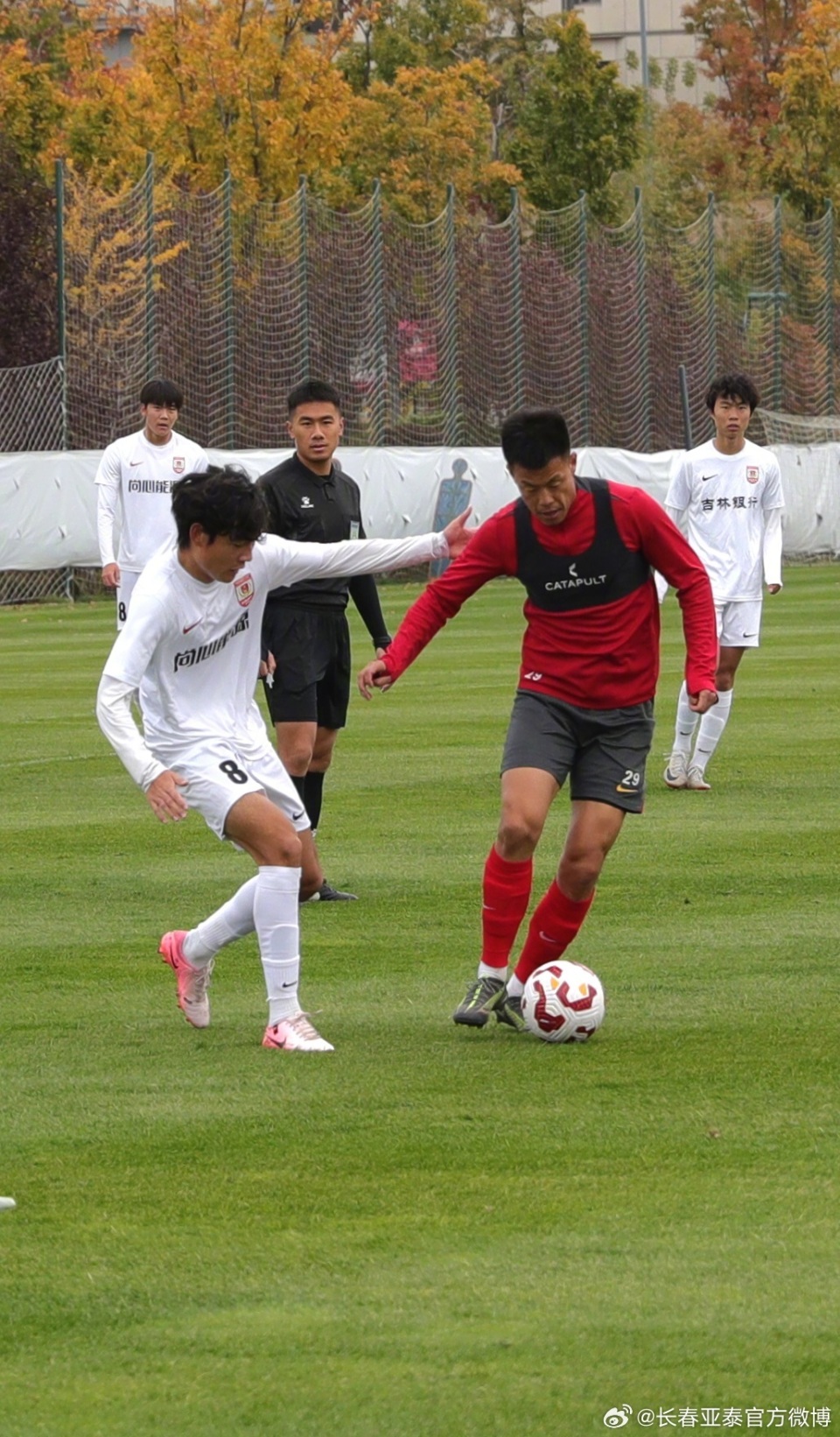 雷斯上下半, zcZ